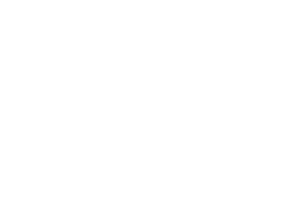BritishWings Associates